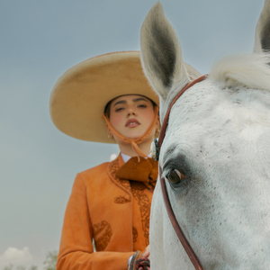 AI唐嫣无码精品全部
